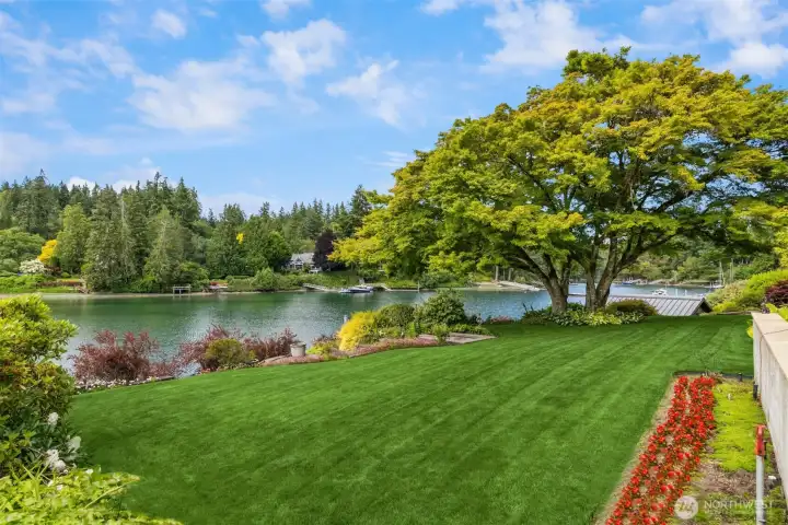 The infinity lawn!