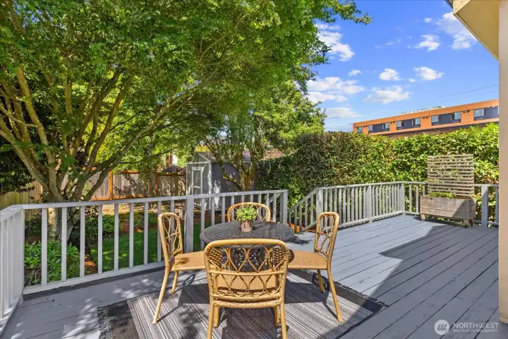Private backyard with large deck and mature trees.  Your own little oasis in the city!