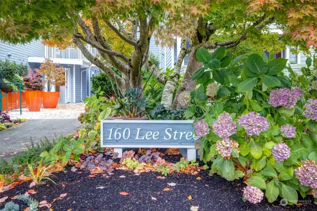 Welcome to the top of Queen Anne Hill and the 160 Lee St condominiums! Entrance to the unit is through the door, behind the orange planters.