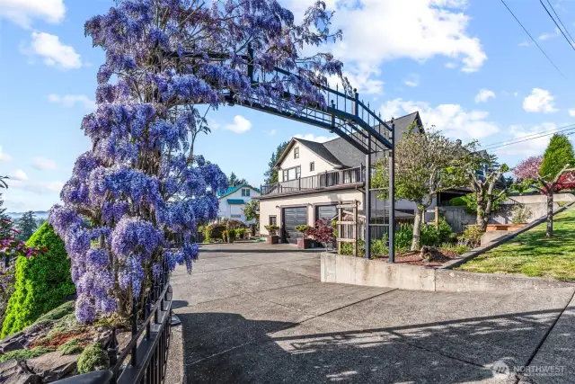 Stunning ornate steel fencing welcomes you home