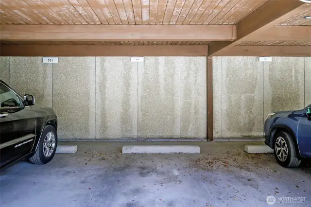 Parking spot and entrance to building are covered!
