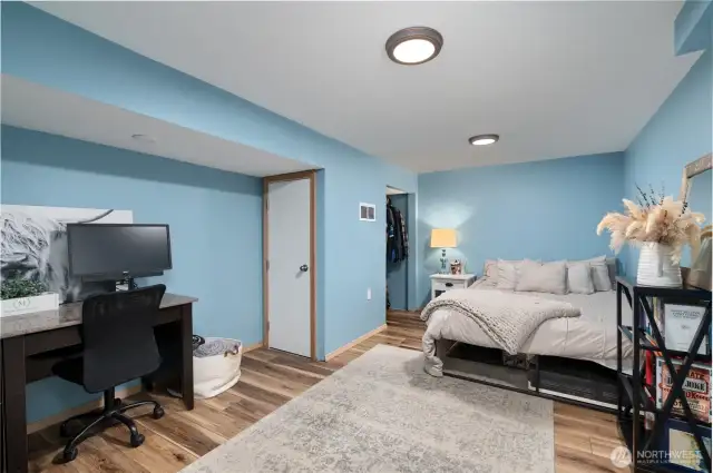Large finished bonus room with closet space in basement- so many possibilities!