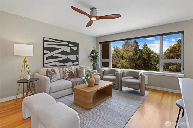 Large SW-facing windows overlooking Kinnear Park