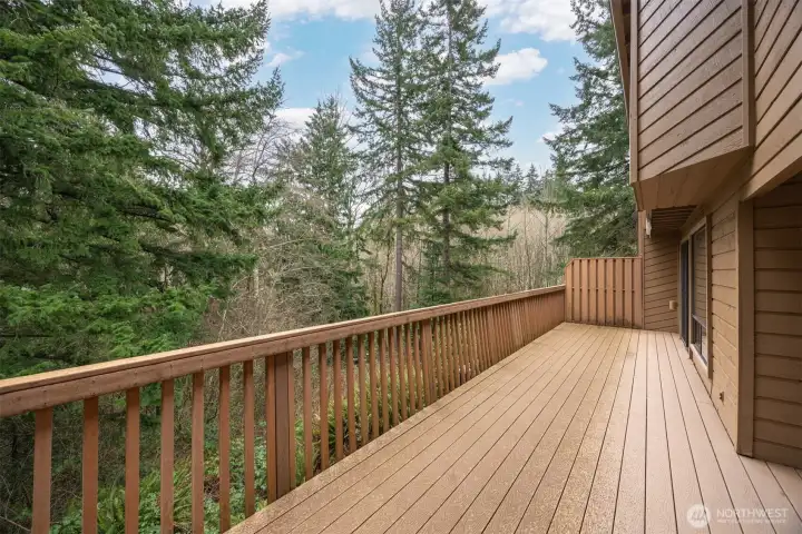 deck off kitchen