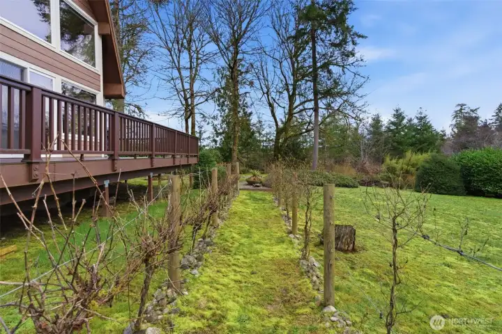 A winemaker’s dream unfolds across gently rolling vineyards, where neatly lined rows of grapevines are steps away from the home.