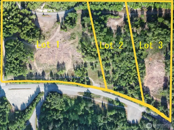 Three parcels are for sale. This information is for the parcel to the left. Miles of hiking trails to the west. Duckabush River Valley to the Left.