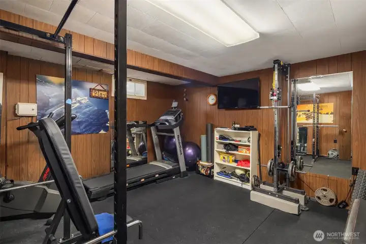 Finished room in the basement, currently used as a gym.