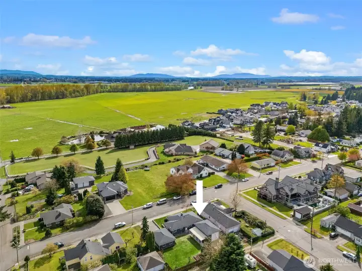 Aerial view of the home and its immediate surroundings.