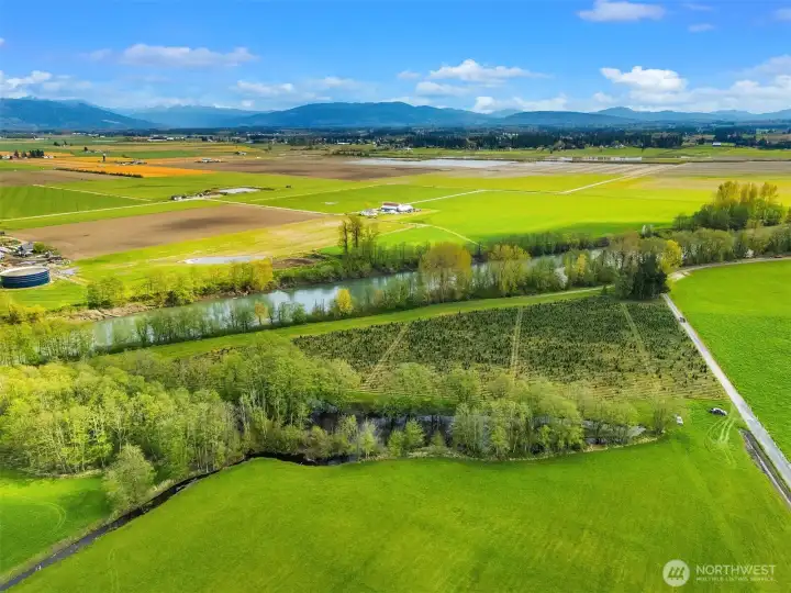 Cow pastures and meadows lie across the street from this home with the Nooksack river and Cascade mountain range beyond.