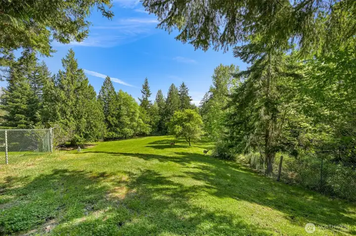 Deer and wildlife abound, perfect mix of rolling meadows, a beautiful variety of trees and an entire forest with creek