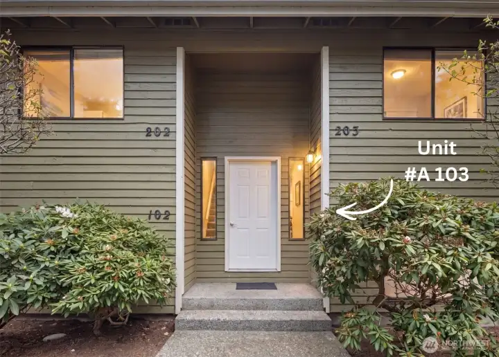 Welcome! Come through the door and...