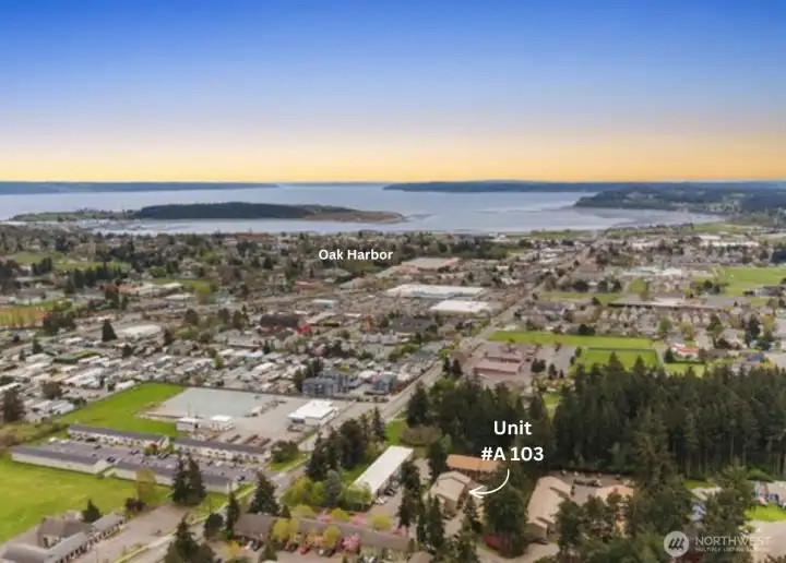 A larger, drone view of the area!