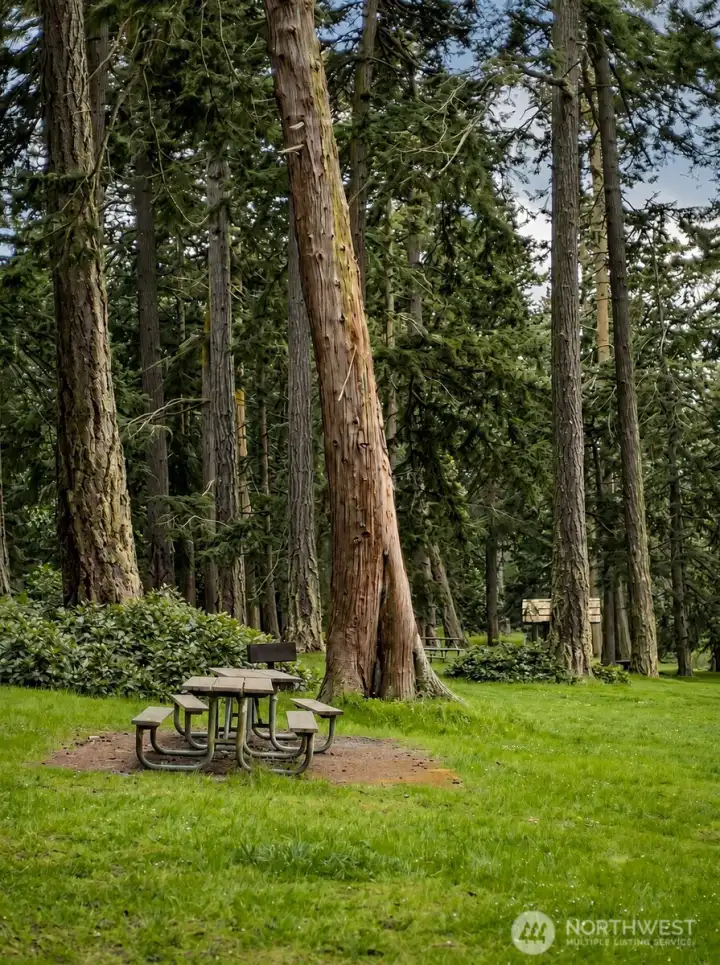 Park near the Condo