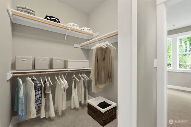 Walk-in closet on 1 side and wardrobe closet on other side.
