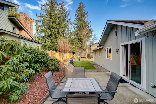 Back yard patio