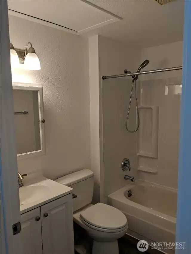 Downstairs Bathroom