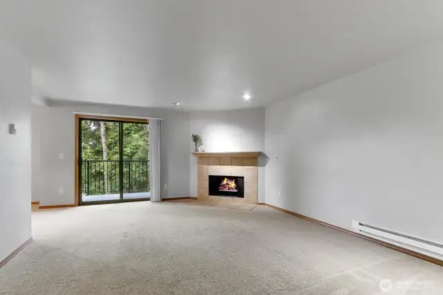 Living room no virtual staging