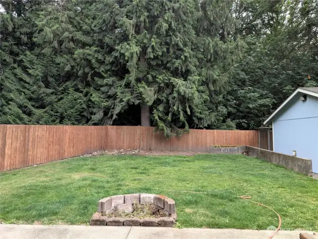 Fully fenced property backs up to a green belt on 2 sides for privacy, and fully fenced backyard for pets. Say Yes to this address. #7120 242nd St E, Graham, WA 98338.
