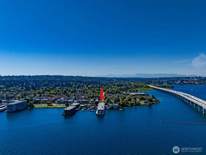 Red arrow marks the prime waterfront location of the Lakeshore West condominiums in Madison Park.
