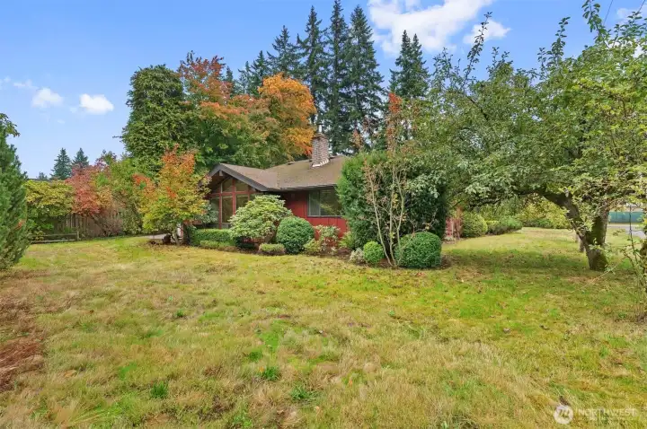 Large corner lot with fruit trees.