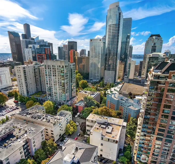 Walkscore of 100, Transitscore of 88