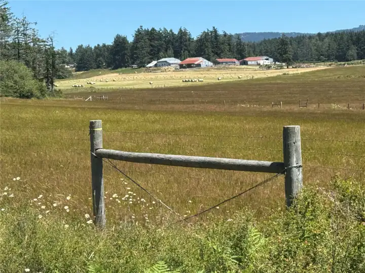 You will look forward to hay season and all the activity on Orcas Farms. This is the adjacent ranch the property overlooks. Just 2 acres, but you feel like you are part of something bigger. You will look forward to hay season and all the activity on Orcas Farms. This is the adjacent ranch the property overlooks. Just 2 acres, but you feel like you are part of something bigger.