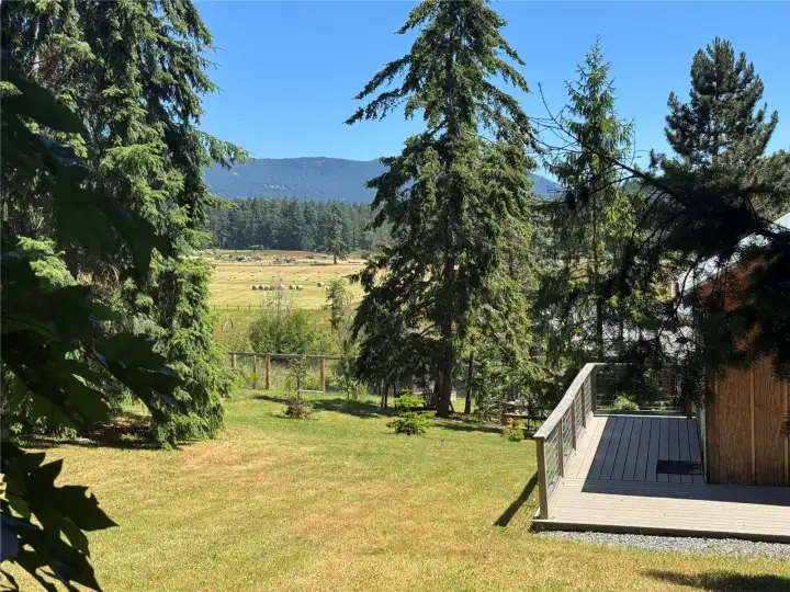 Summer time in the Vally! Storage "T" Shed on right side of this view. Home is down the hill behind the trees, tucked away for privacy. Summer time in the Vally! Storage "T" Shed on right side of this view. Home is down the hill behind the trees, tucked away for privacy.