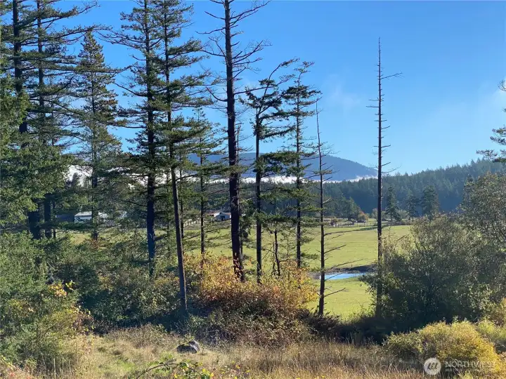This view is taken from the north end of the property looking towards Mount Constitution.
