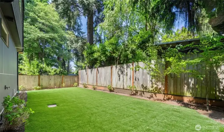 Low maintenance turf lawn.