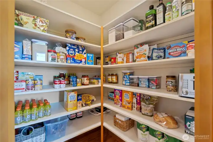 Ample Pantry Space~