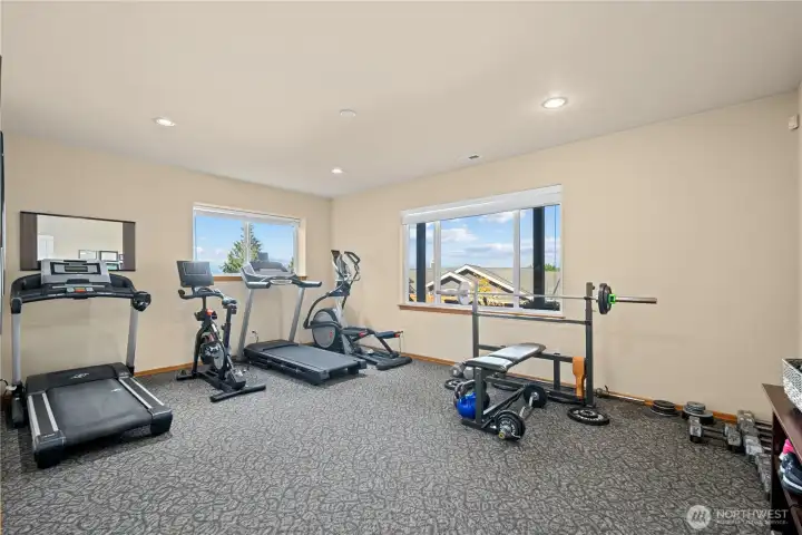 Lower 'Flex' Room is Bright and Large~