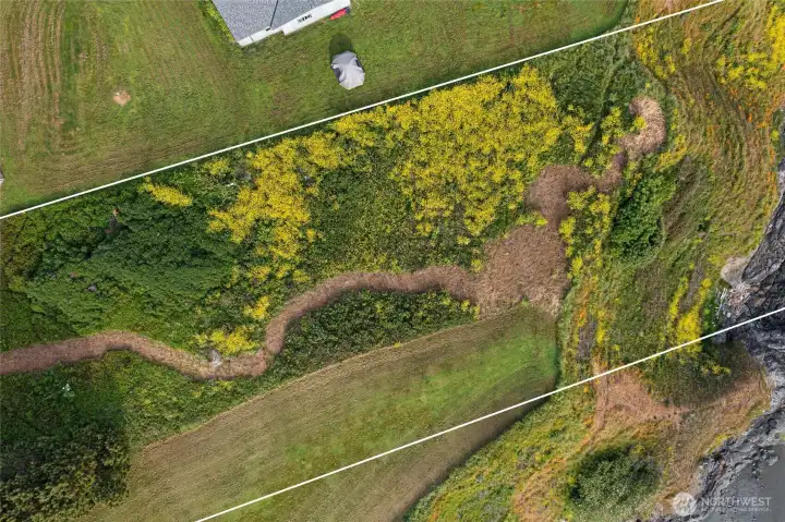 Overhead view highlights the parcel’s natural vegetation, open meadow area, and defined waterfront setting above the shoreline.