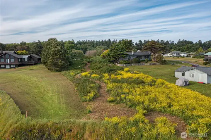 Ground-level view across the parcel features open meadow, native grasses, and seasonal wildflowers with potential for a custom San Juan Island homesite.