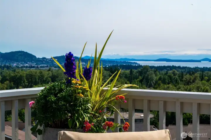 From the corner of the deck From the corner of the deck