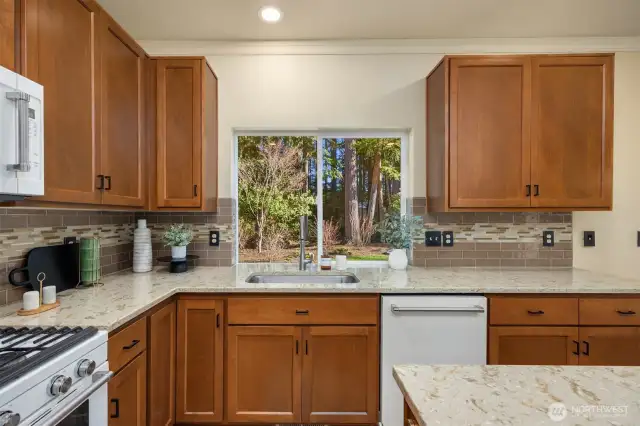 Backyard Views from the Remodeled Kitchen