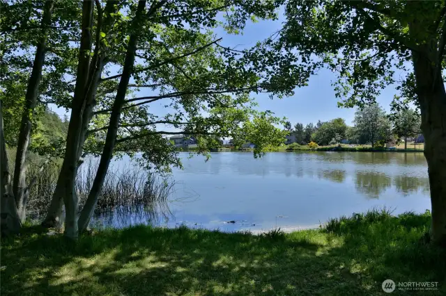 Community lagoon