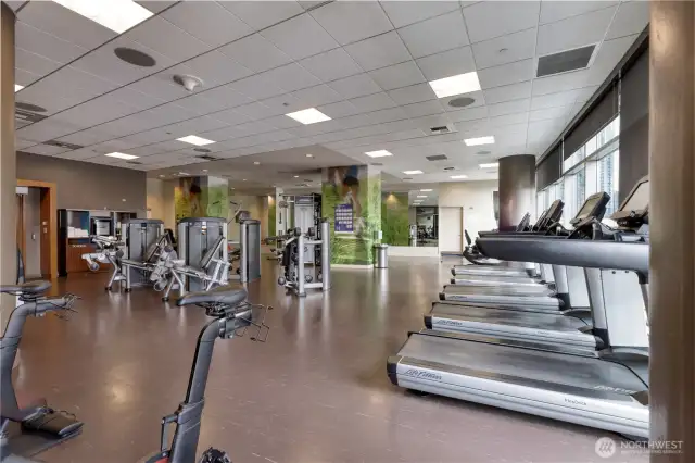 On-site full gym.