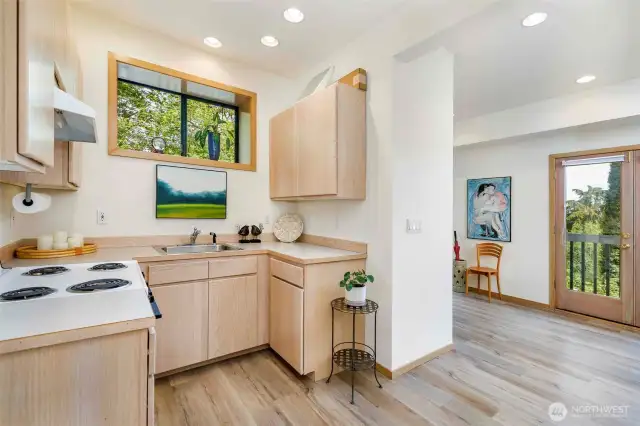 Lower Level Kitchenette