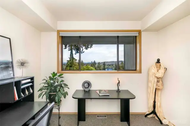 Lower Level Den/Office