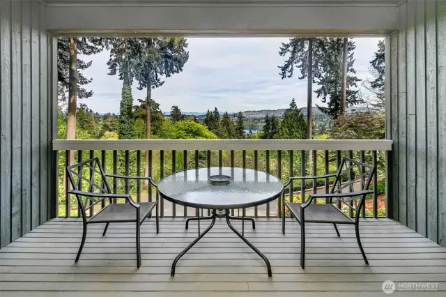 Lower level bedroom private deck.