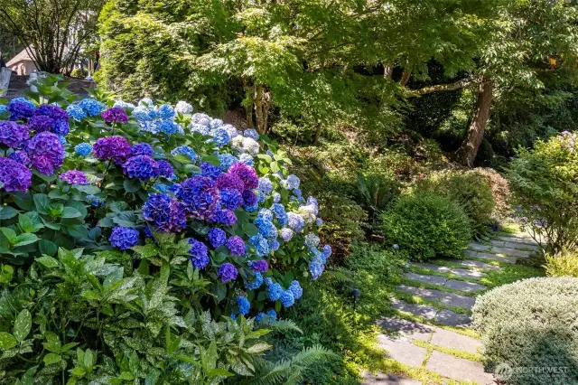 Gardens in Bloom