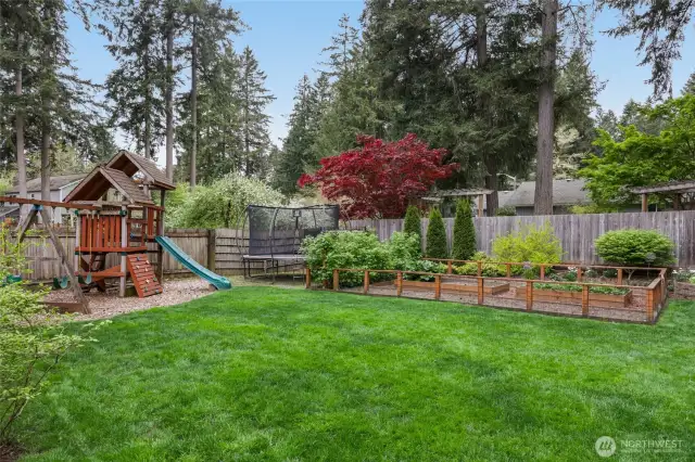 Play structure, fenced in garden area... so much space!