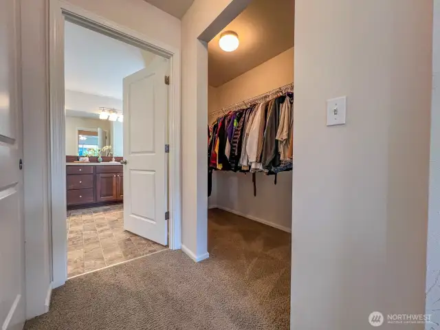 On the way to the primary bath suite, you have 2 large closets on each side (including a huge walk-in on the right).