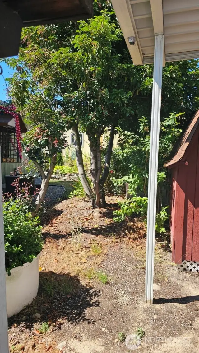 Property behind Carport Storage