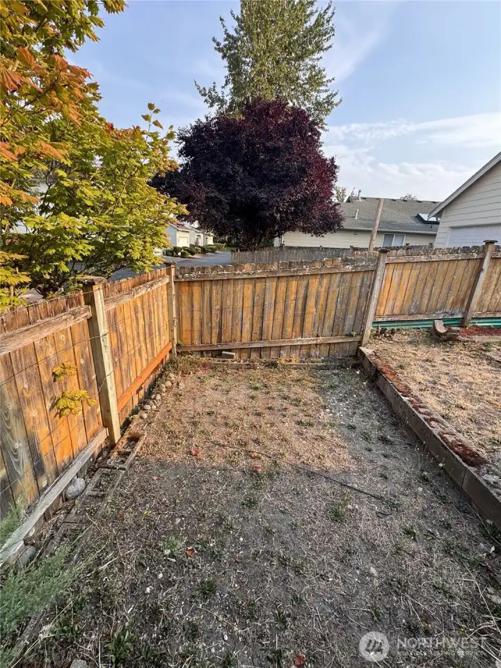 Back yard