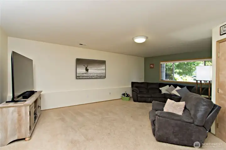 Downstairs Family room