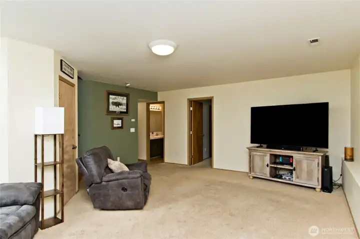 Downstairs Family room