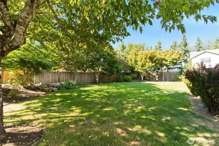 Fully fenced private back yard