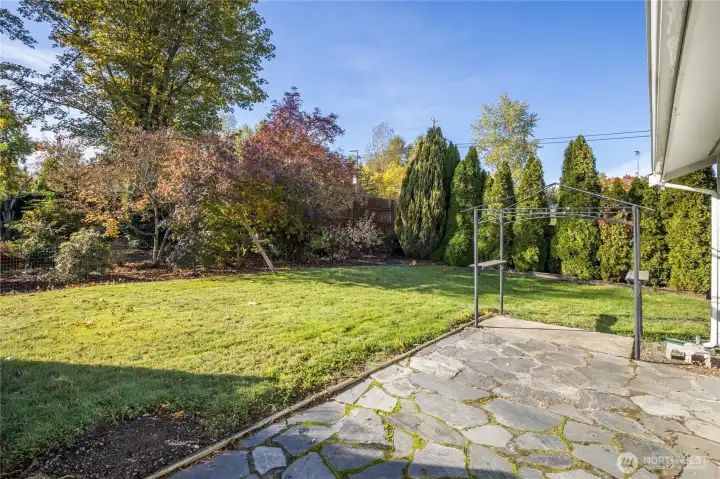 Great privacy in the back yard