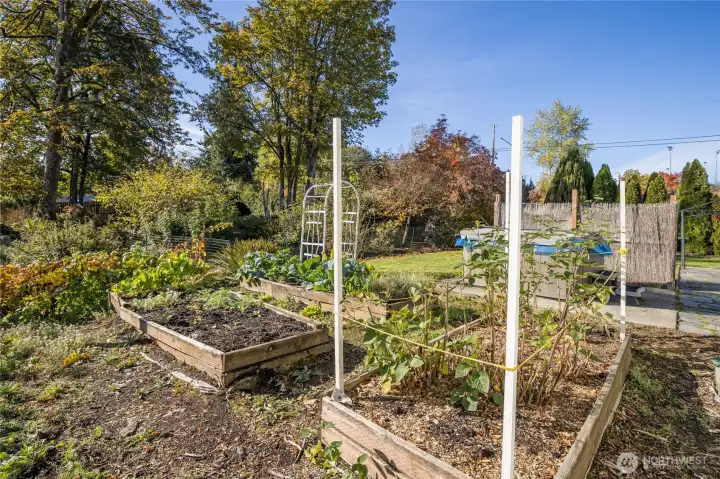 Expansive garden area with raised garden beds. Enjoy thornless blackberries, raspberries, huckleberries and more!